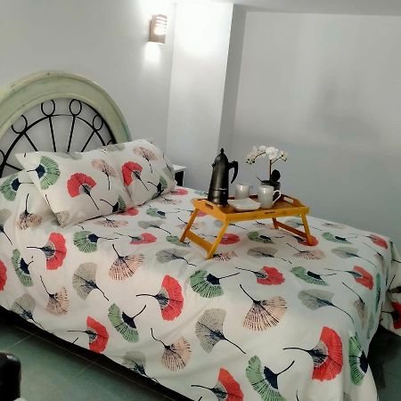 Ferienwohnung Precioso Loft En Conil De La Frontera Exterior foto